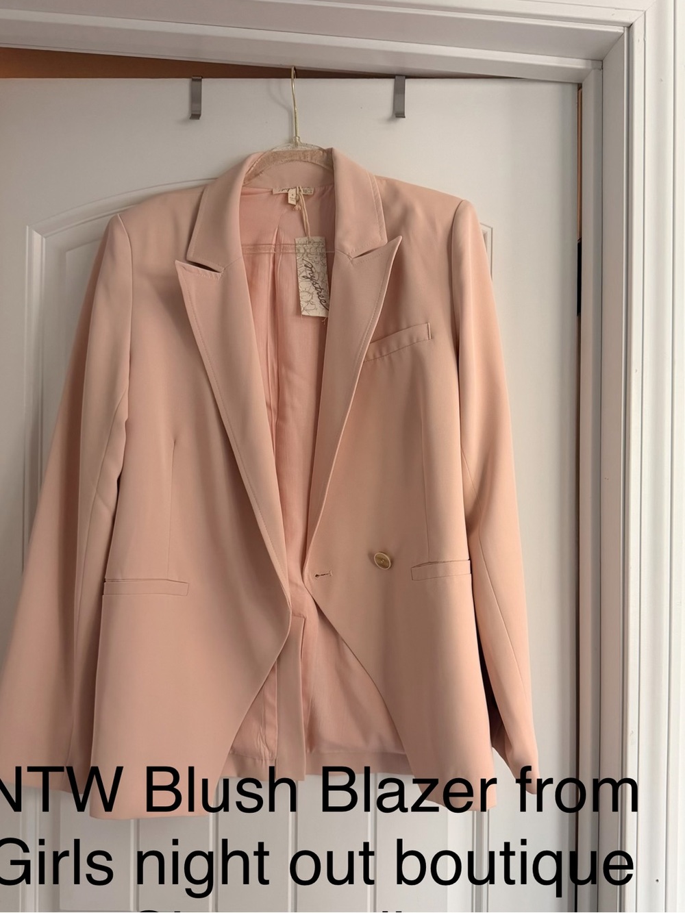 Blush Single-Button Blazer - Women